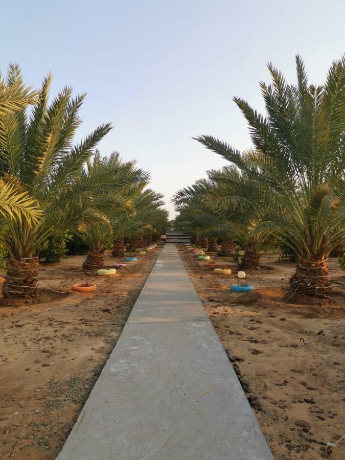 Almazham Camp Resort Al Ula Εξωτερικό φωτογραφία