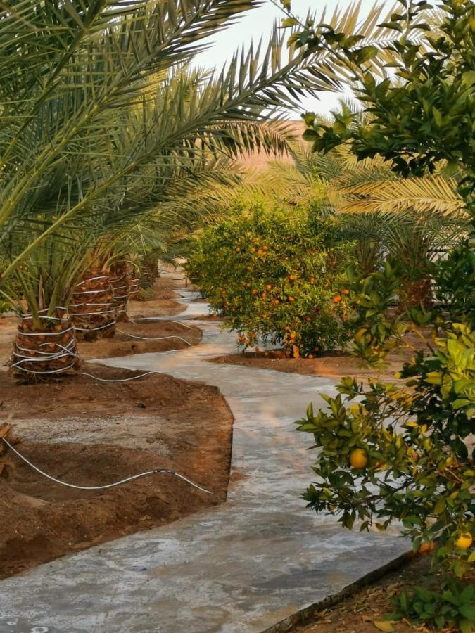 Almazham Camp Resort Al Ula Εξωτερικό φωτογραφία