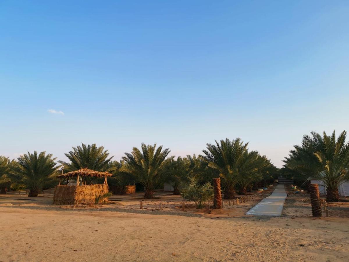 Almazham Camp Resort Al Ula Εξωτερικό φωτογραφία