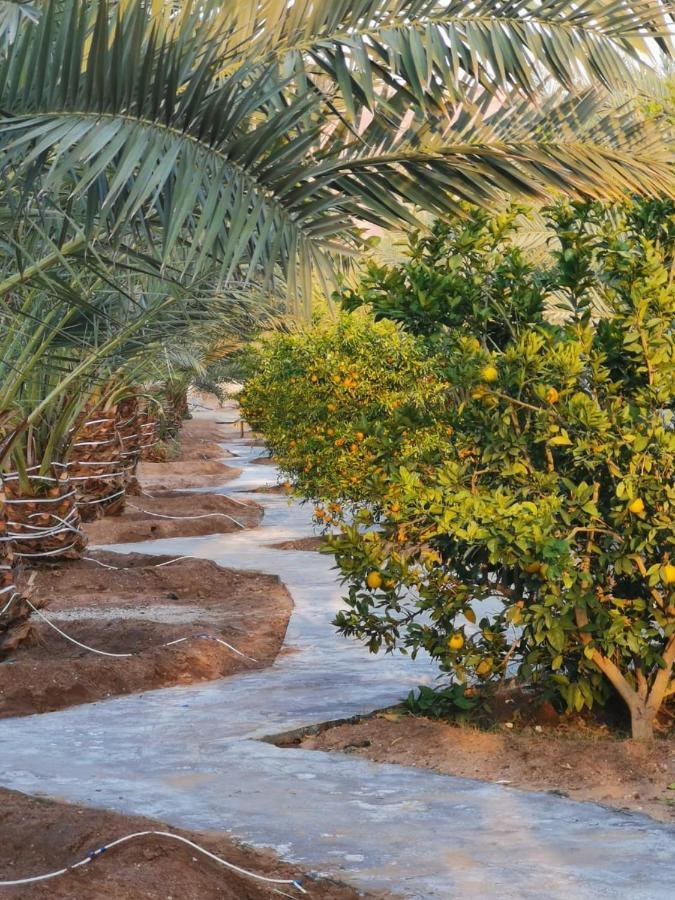 Almazham Camp Resort Al Ula Εξωτερικό φωτογραφία